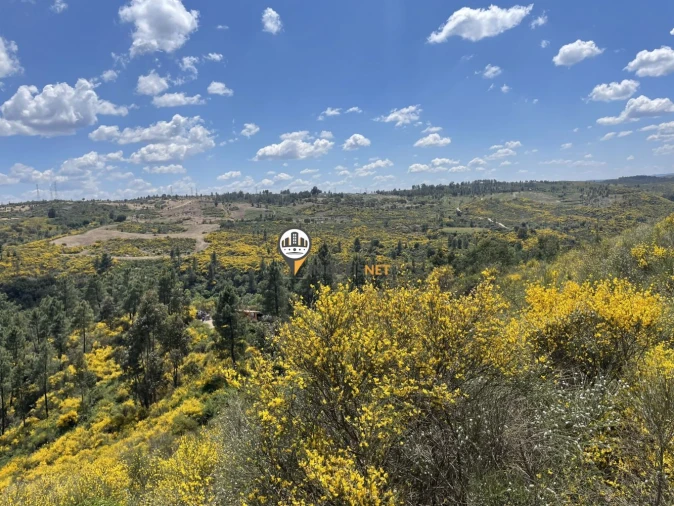 Terreno para Venda em Castelo Branco Foto 20