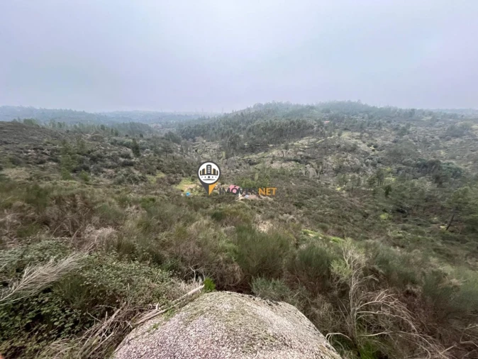 Terreno para Venda em Castelo Branco Foto 6