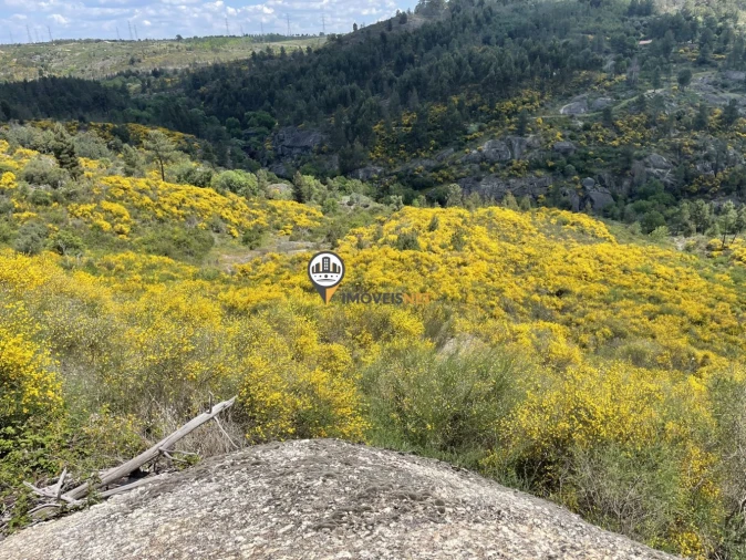Terreno para Venda em Castelo Branco Foto 18