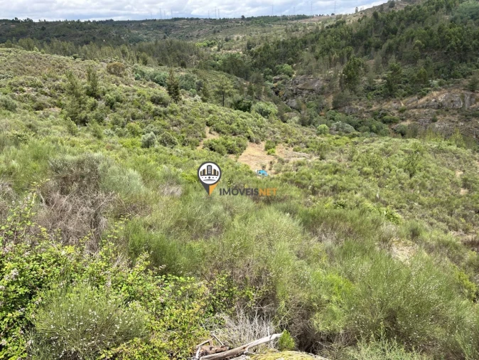 Terreno para Venda em Castelo Branco Foto 13