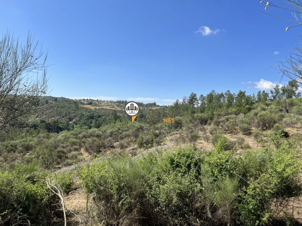 Terreno para Venda em Castelo Branco Foto 15