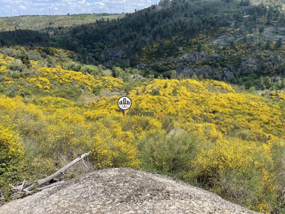 Terreno para Venda em Castelo Branco Foto 18