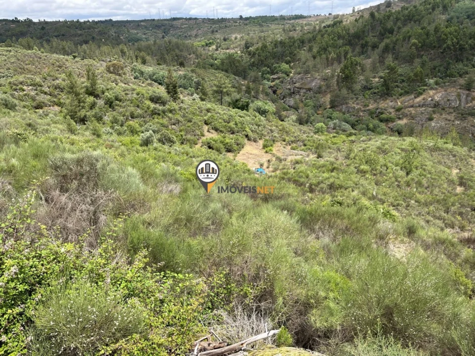 Terreno para Venda em Castelo Branco Foto 13