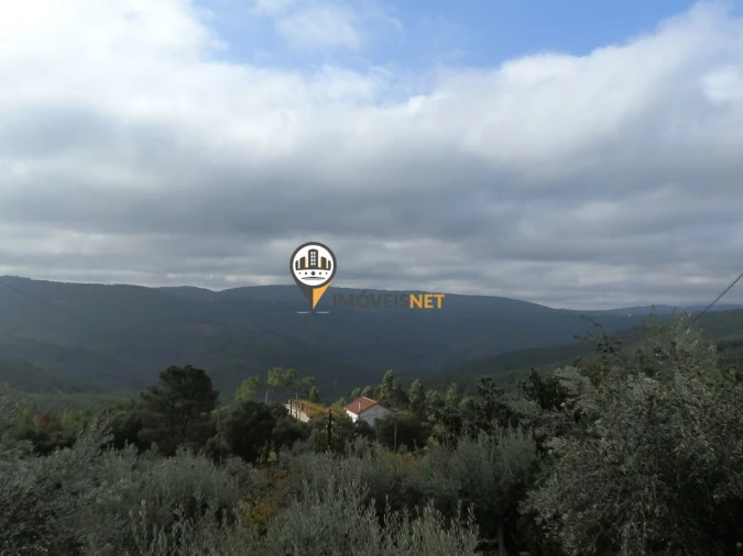 Moradia T2 para Venda em Janeiro de Cima e Bogas de Baixo Foto 13