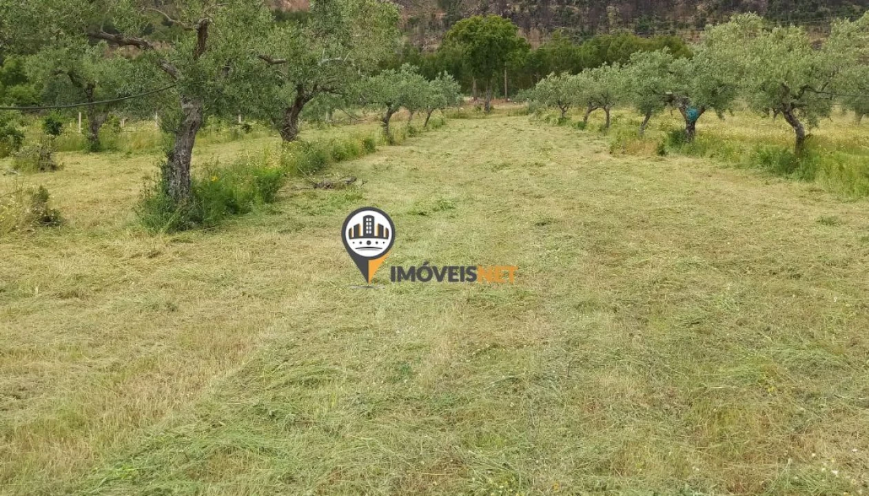 Terreno para Venda em Alcains Foto 2