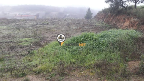 Terreno para Venda em Castelo Branco
