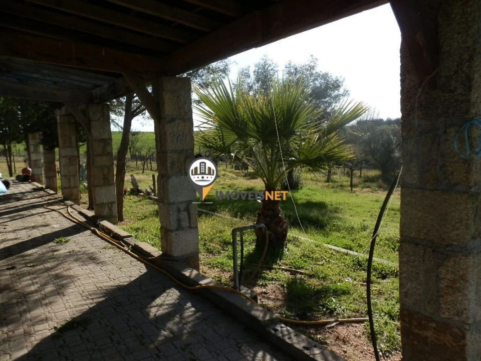 Terreno para Venda em Idanha-A-Nova e Alcafozes Foto 15