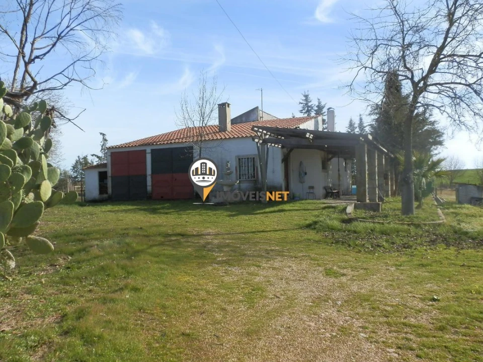 Terreno para Venda em Idanha-A-Nova e Alcafozes Foto 1