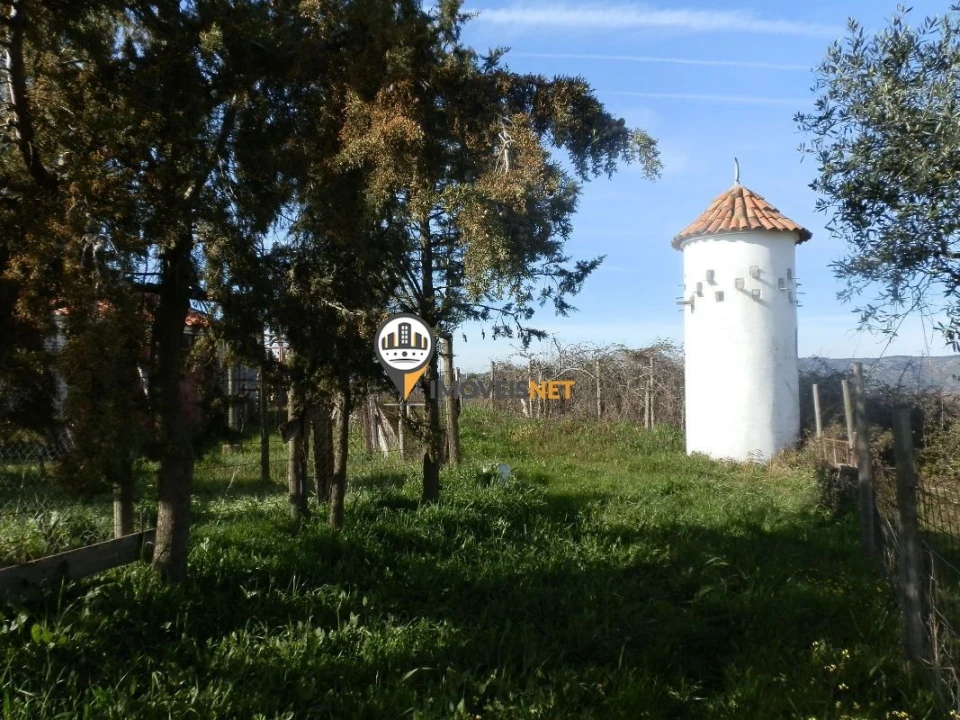 Terreno para Venda em Idanha-A-Nova e Alcafozes Foto 13