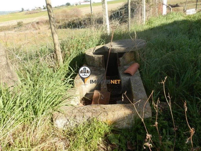 Terreno para Venda em Idanha-A-Nova e Alcafozes Foto 12