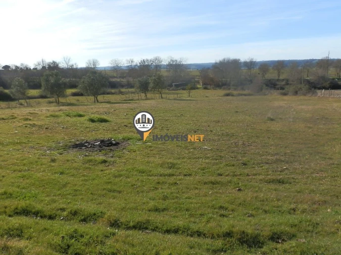Terreno para Venda em Idanha-A-Nova e Alcafozes Foto 19