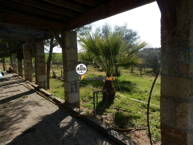 Terreno para Venda em Idanha-A-Nova e Alcafozes Foto 15