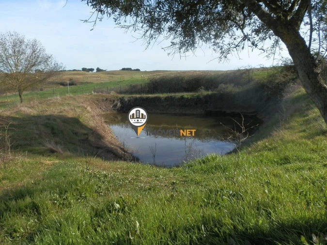 Terreno para Venda em Idanha-A-Nova e Alcafozes Foto 6