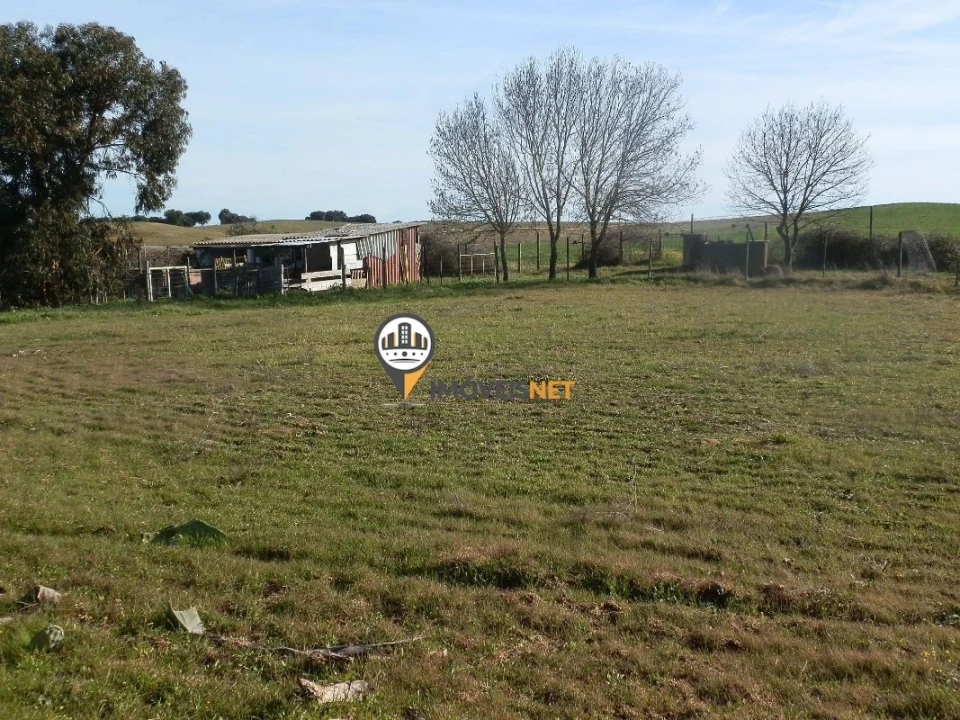 Terreno para Venda em Idanha-A-Nova e Alcafozes Foto 9