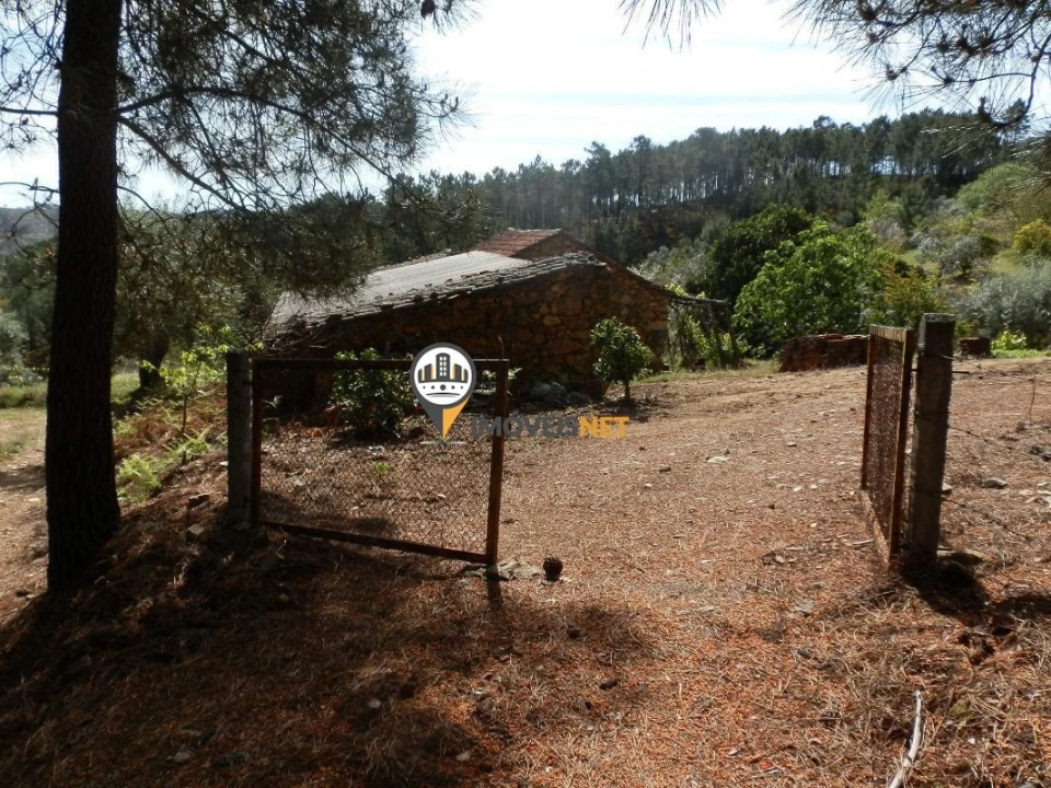 Moradia T6 para Venda em Oleiros-Amieira Foto 14