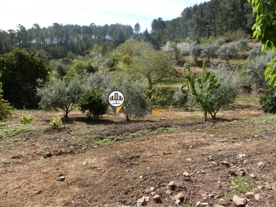 Moradia T6 para Venda em Oleiros-Amieira Foto 20