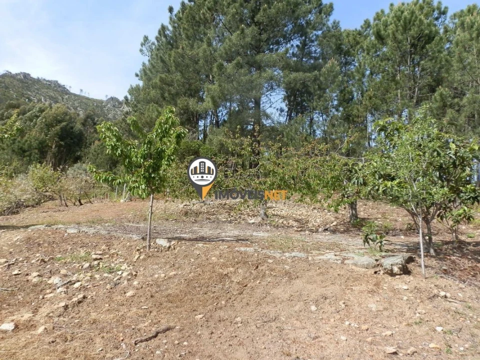 Moradia T6 para Venda em Oleiros-Amieira Foto 13