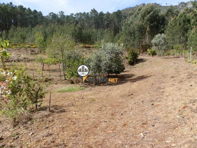 Moradia T6 para Venda em Oleiros-Amieira Foto 23