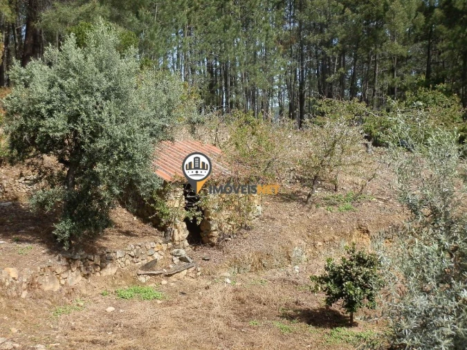 Moradia T6 para Venda em Oleiros-Amieira Foto 26