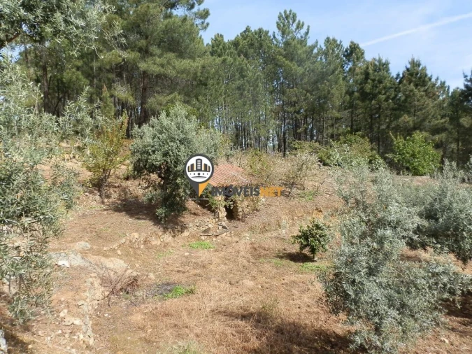 Moradia T6 para Venda em Oleiros-Amieira Foto 25