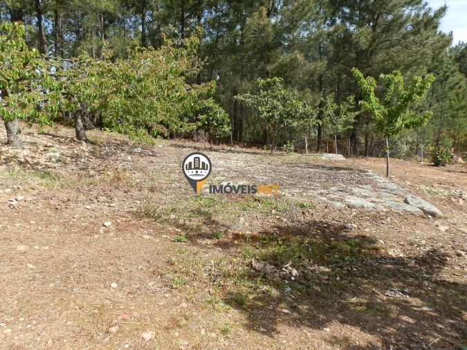 Moradia T6 para Venda em Oleiros-Amieira Foto 21