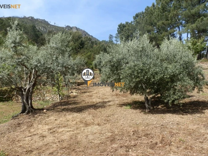 Moradia T6 para Venda em Oleiros-Amieira Foto 7