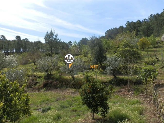 Moradia T6 para Venda em Oleiros-Amieira Foto 29