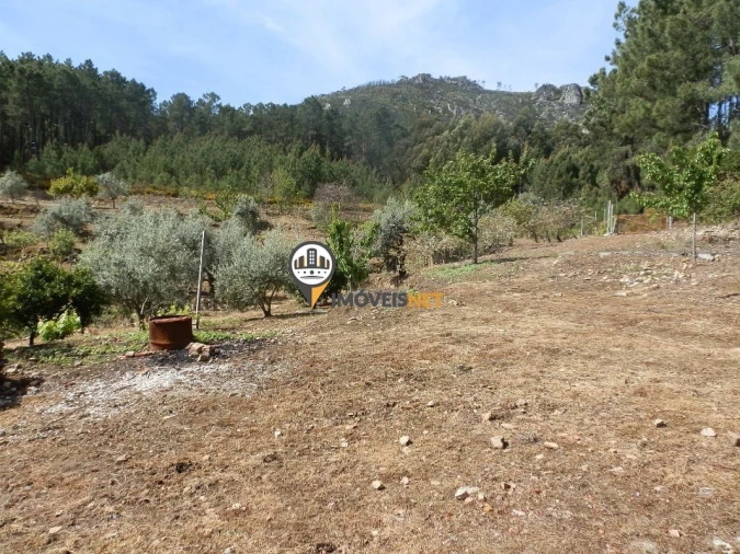 Moradia T6 para Venda em Oleiros-Amieira Foto 11