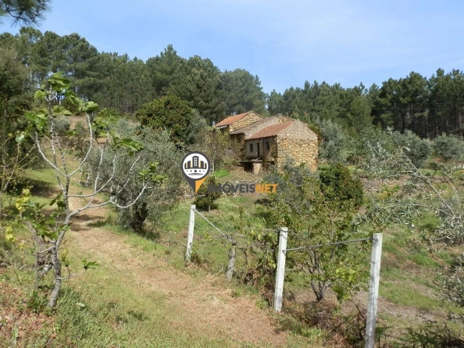 Moradia T6 para Venda em Oleiros-Amieira Foto 27