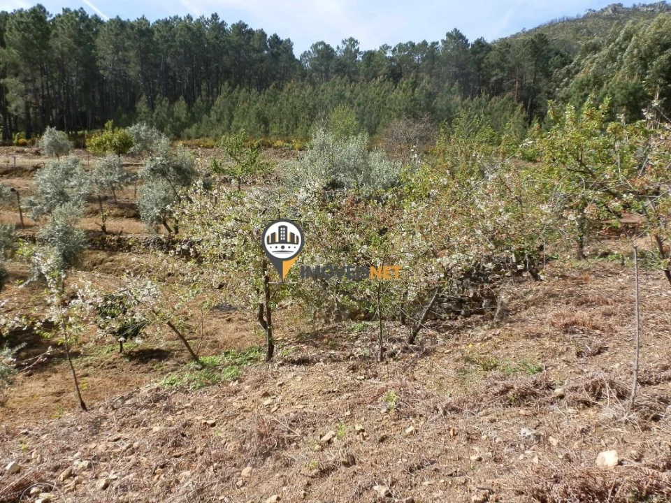 Moradia T6 para Venda em Oleiros-Amieira Foto 22