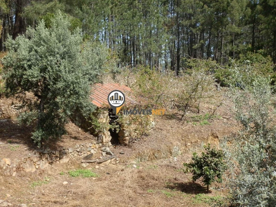 Moradia T6 para Venda em Oleiros-Amieira Foto 26