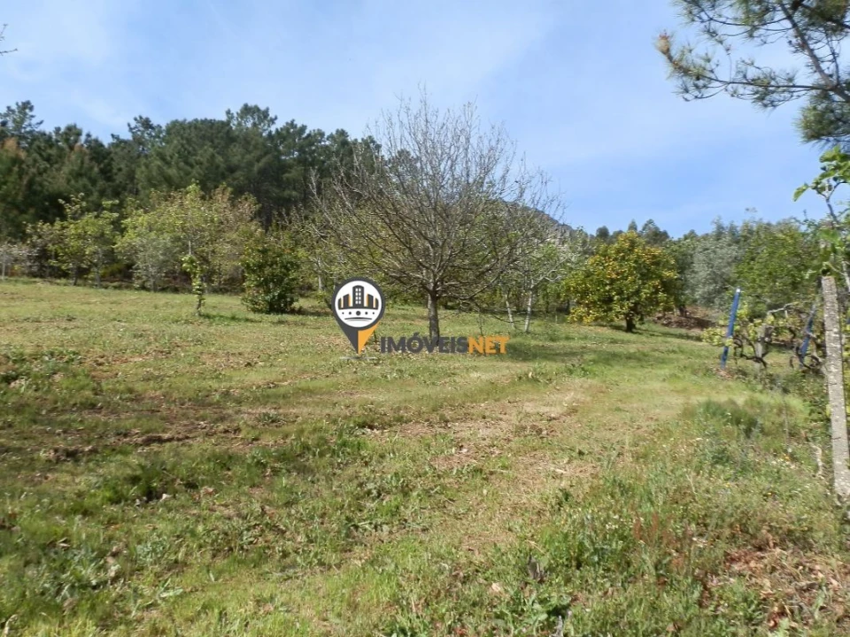 Moradia T6 para Venda em Oleiros-Amieira Foto 28