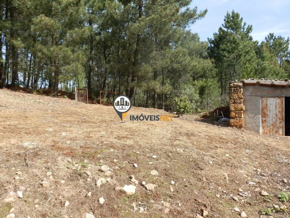 Moradia T6 para Venda em Oleiros-Amieira Foto 12