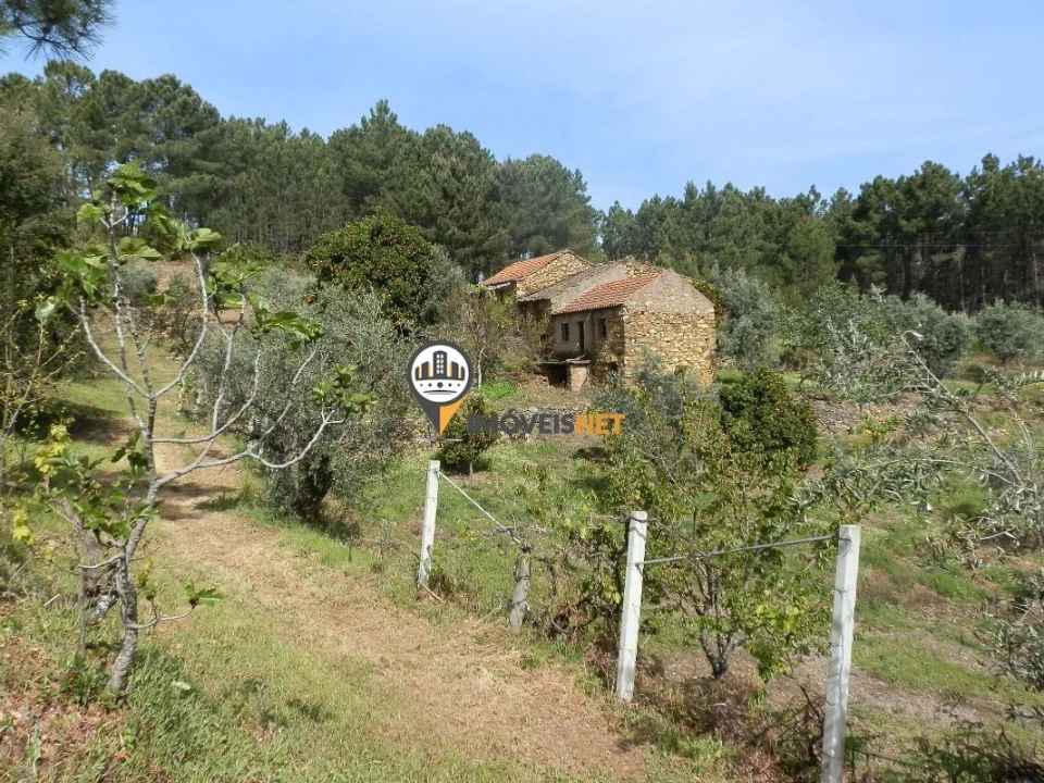 Moradia T6 para Venda em Oleiros-Amieira Foto 27