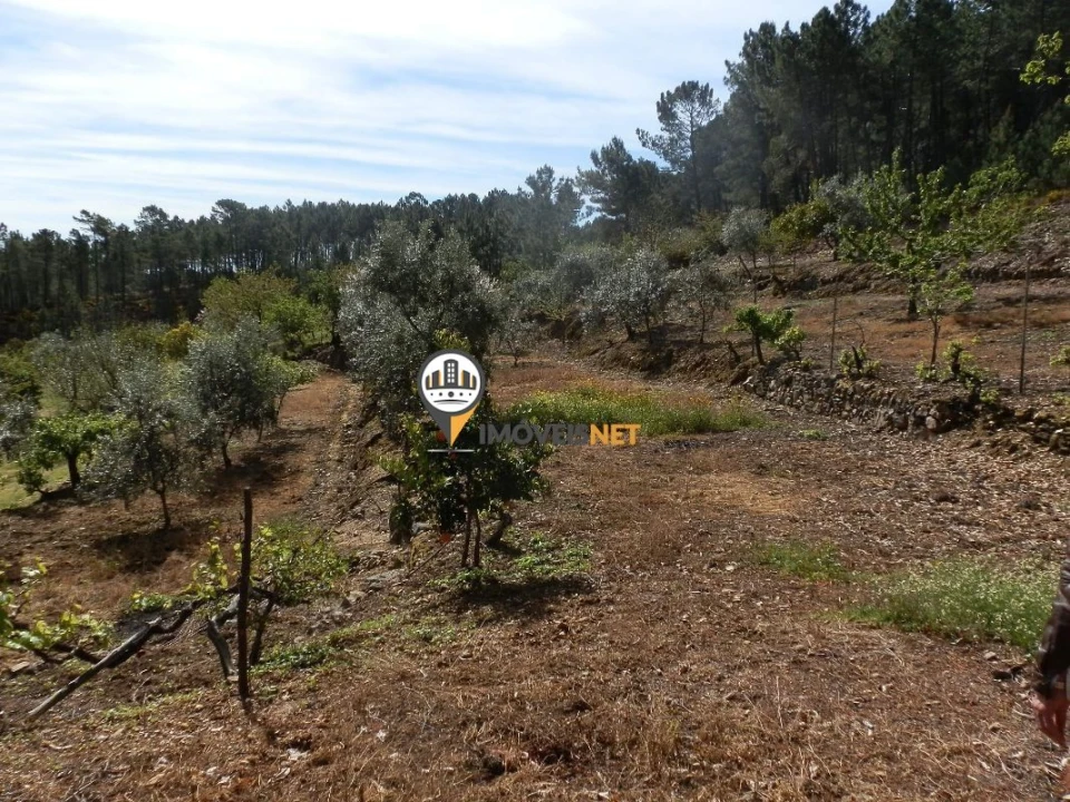 Moradia T6 para Venda em Oleiros-Amieira Foto 24