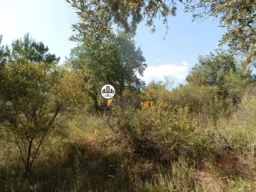 Terreno para Venda em Castelo Branco