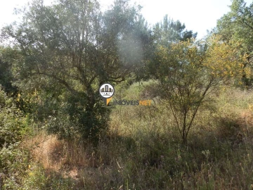 Terreno para Venda em Castelo Branco
