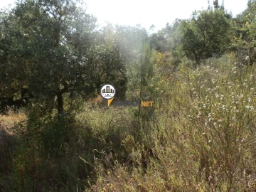 Terreno para Venda em Castelo Branco