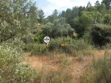 Terreno para Venda em Castelo Branco
