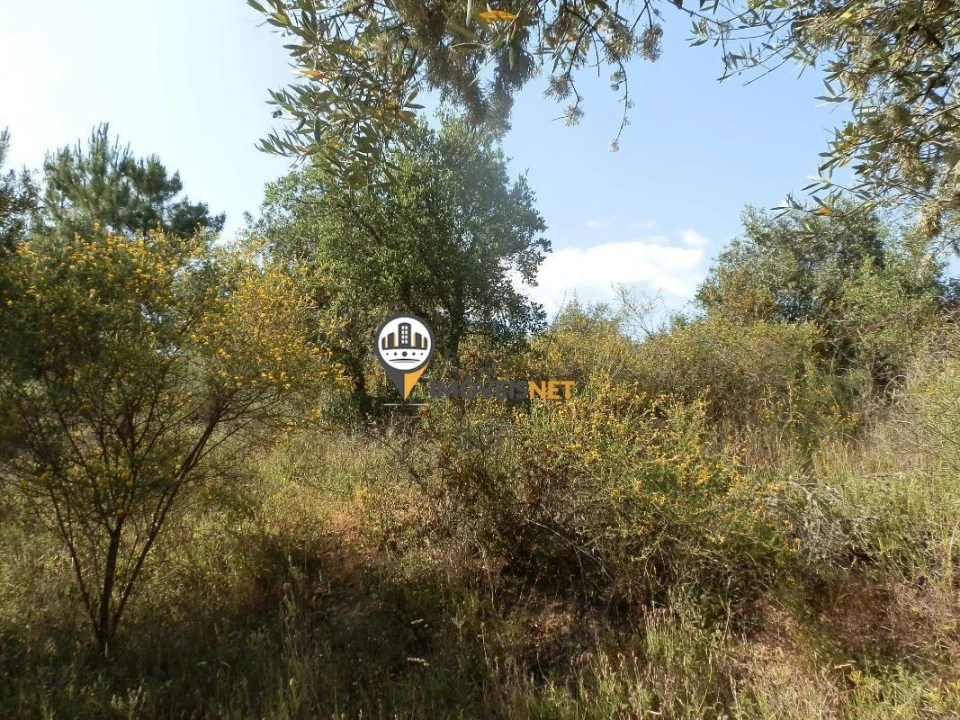 Terreno para Venda em Castelo Branco Foto 1