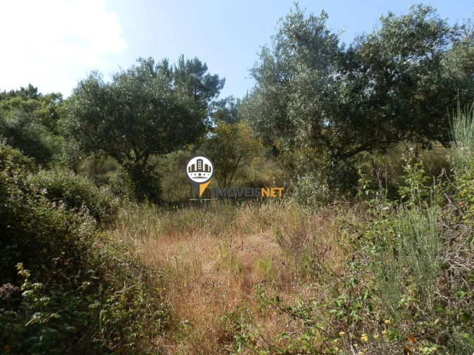 Terreno para Venda em Castelo Branco Foto 4