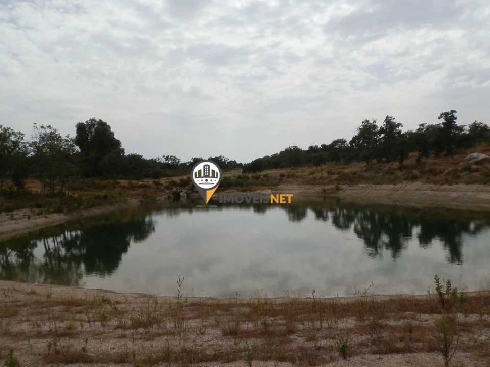 Terreno para Venda em Castelo Branco Foto 5
