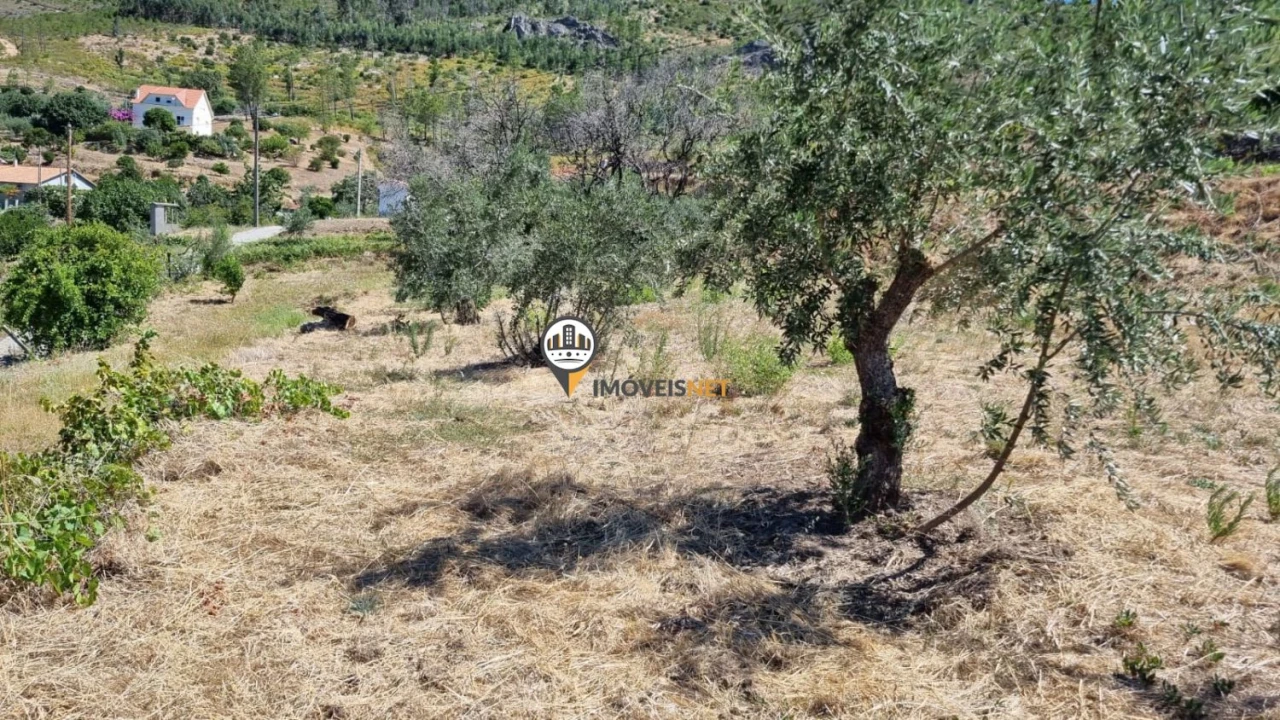 Moradia T5 para Venda em Oleiros-Amieira Foto 27