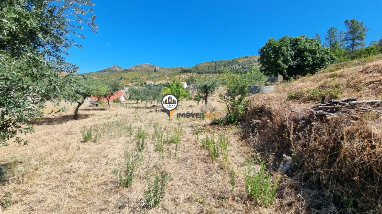 Moradia T5 para Venda em Oleiros-Amieira Foto 17