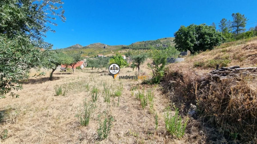 Moradia T5 para Venda em Oleiros-Amieira Foto 17