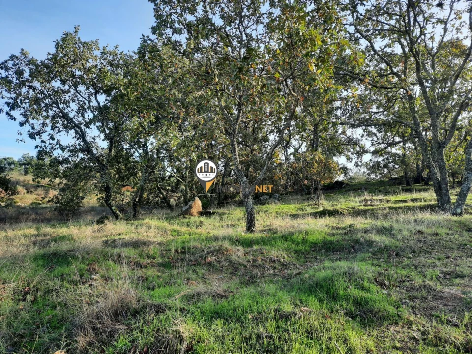 Terreno para Venda em Castelo Branco Foto 2