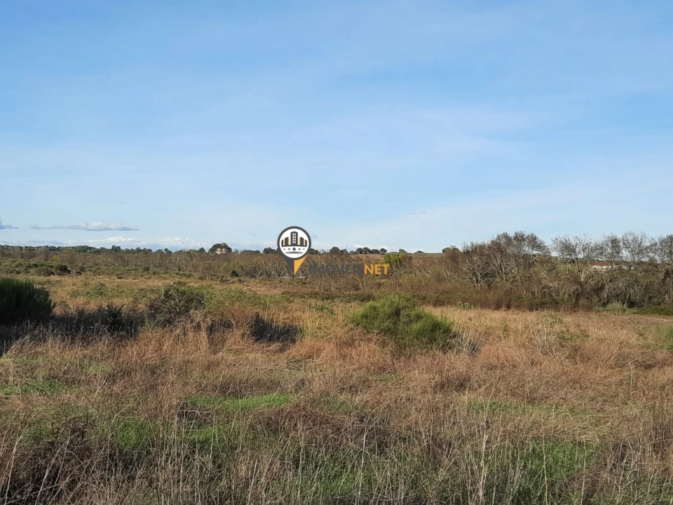 Terreno para Venda em Castelo Branco Foto 5