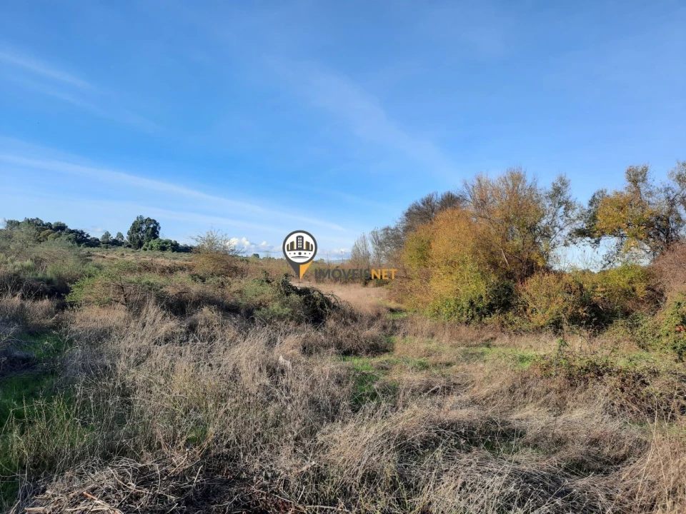 Terreno para Venda em Castelo Branco Foto 6