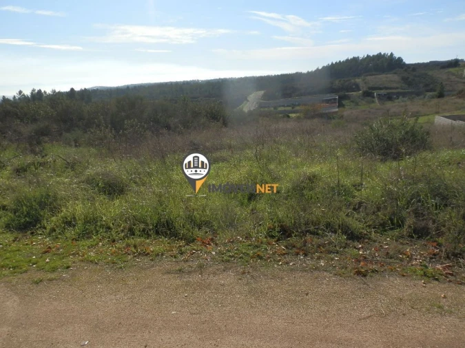 Terreno para Venda em Castelo Branco Foto 2