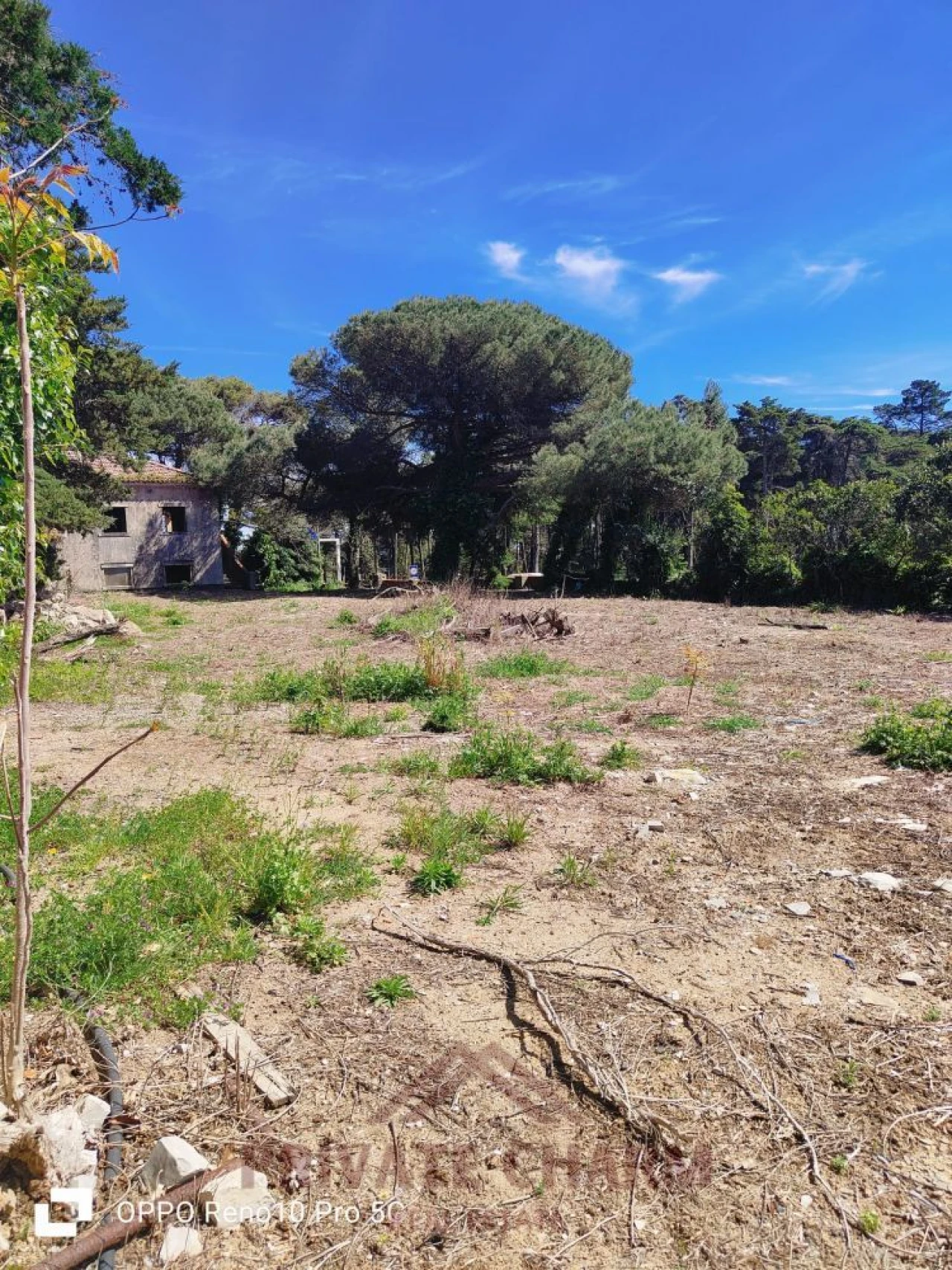 Moradia T3 para Venda em Santa Maria e São Miguel, São Martinho, São Pedro Penaferrim Foto 3